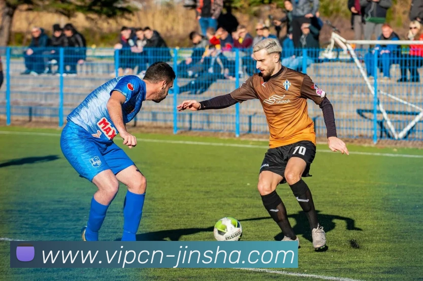 澳门金沙官网APP 封面图